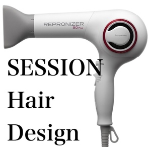 SESSION レプロナイザー　640.jpg